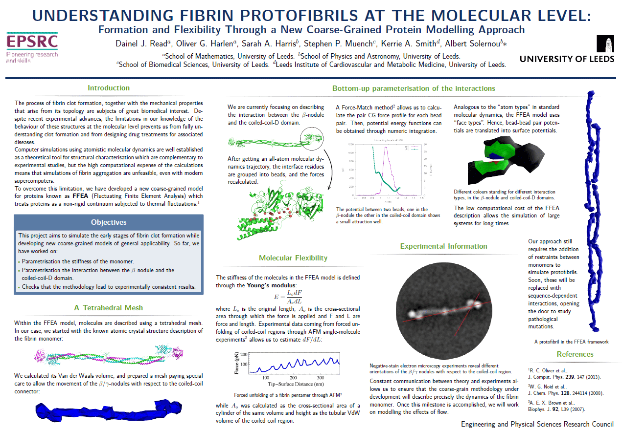 Understanding Fibrin Protofibrils at the Molecular Level